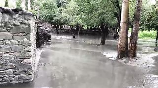 Flood 2022.