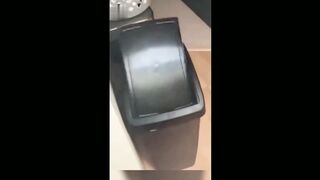 Funny cats video 2023 3