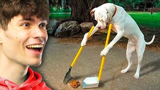 This DOG will make you LAUGH!