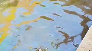 Duck ???? enjoy krte howy