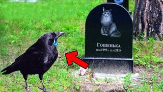 Raven came to his best friend's funeral, but what happened next