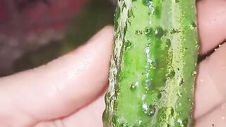 ПОДМЛАДЯВАНЕ НА СТАРО РАСТЕНИЕ - КРАСТААВИЦА