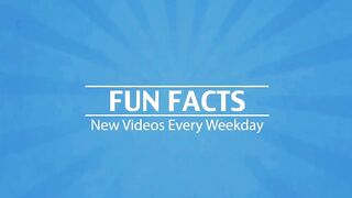 10 Facts About Dogs