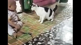 CATS WORLD 21