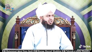 Alama Hafeez Ahmed