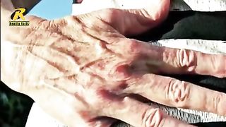 Amazing facts  human body
