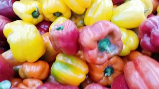 Beautiful bell peppers