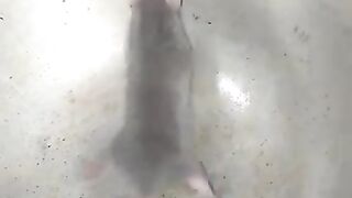 funny moments ????????????