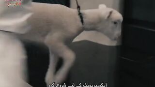 Science Experiment 3