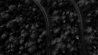 Music Short Video