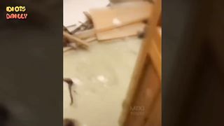 DES IDIOTS AU TRAVAIL !