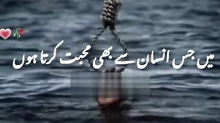 حضرت علی کرم اللہ وجہہ کا قول