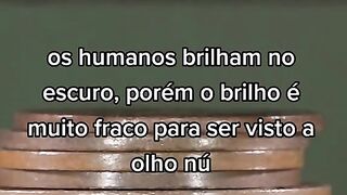 Curiosidades aleatórias