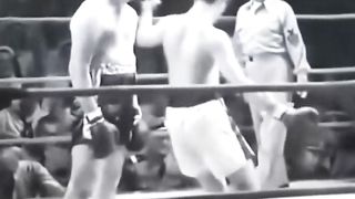 Легенда 7