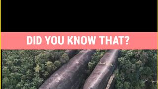 DID YOU KNOW | THREE WHALE ROCK