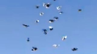 My lovely pigeon||#saudia