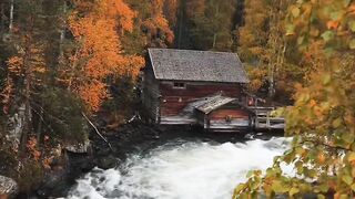 Beautiful Nature video 004
