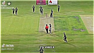 Cricket crazy ????