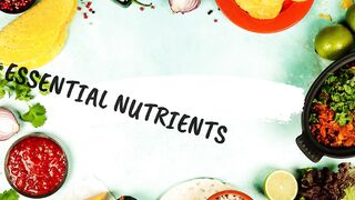 2023 Essential Nutrients