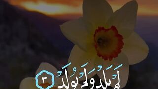 Quran Majeed 55