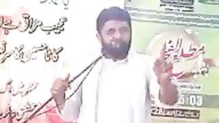 سید حسین رضا نقوی
