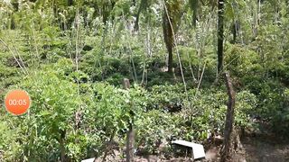 Thun bodhiya