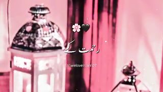 videos 19