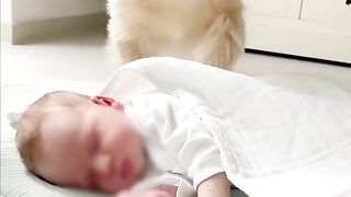 Puppies care