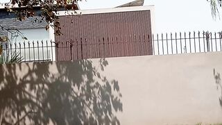 پتے درخت سے جھڑ رہے ہیں