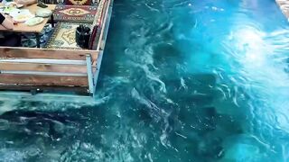 Beautiful restaurant