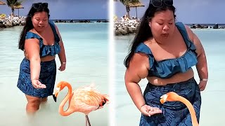 Can You Handle These Hilarious TIKTOK FAILS?! ???????? Funny TikTok Compilation | AFV 2023