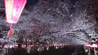 Beautiful summer season