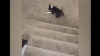 Instant regret | Funny fails Compilation #19