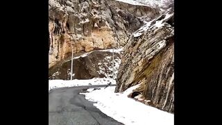 Ibex in hunza