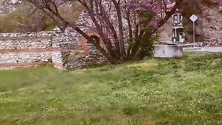 ХИСАРЯ