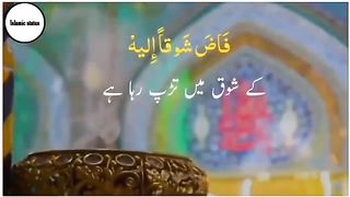 hammad 2