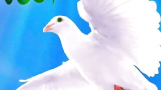 Best naat 15