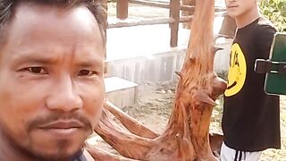Wait for it #short #video Oh,Sanam bolona