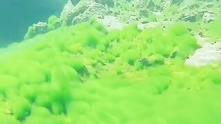 Underwater 2