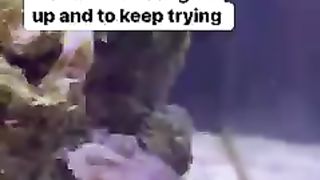 Octopus fun