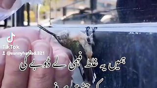 CHOTI CHOTI naiki hamy kamyab krygy