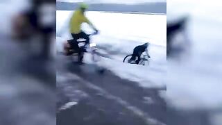 40 Luckiest People Caught On Camera