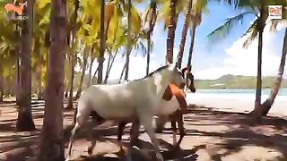 Donkey ????