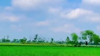 گاوں کی خوبصورتی