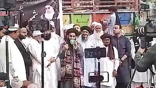 Allama farooq ul hassan 4
