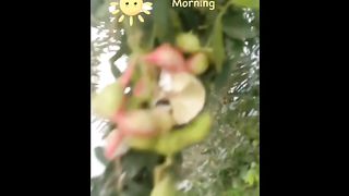 Rise and Shine????