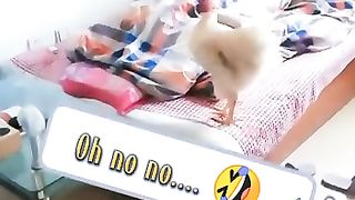 ???????????????????????? 14