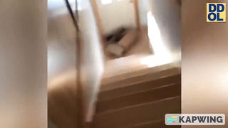 Compilation Des Moments Les Plus Drôles de l'année 5