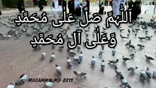 Ramadan Kareem 62