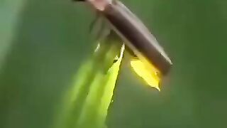 نہ بجلی،نہ بیٹری، نہ پیٹرول ، نہ سولر سسٹم،  صرف اللہ رحمٰن کی قدرت????????????